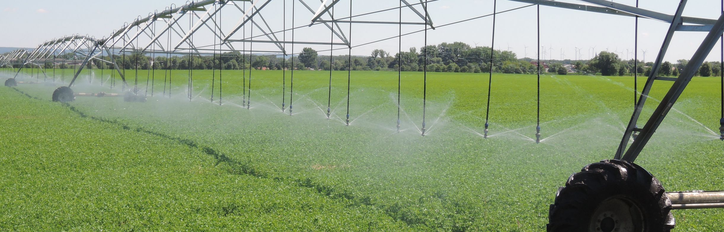 Wasserdüsen eines Kreisberegnungssystems verteilen Wasser auf einem grünen Acker
