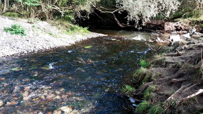 Ein Fluss mit Uferbereichen