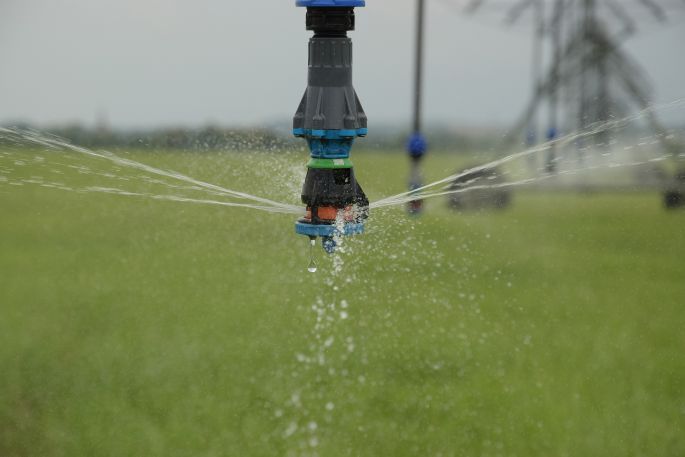 Die Wasserdüsen befinden sich auf Pflanzenhöhe